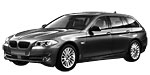 BMW F11 P10A0 Fault Code